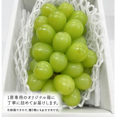 【きよとうファーム】【数量限定】大粒シャインマスカット厳選品1房 /700g以上(岡山県産)