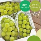 【きよとうファーム】秋の葡萄 シャインマスカット&瀬戸ジャイアンツ 3-5房/計2kg(岡山県産)