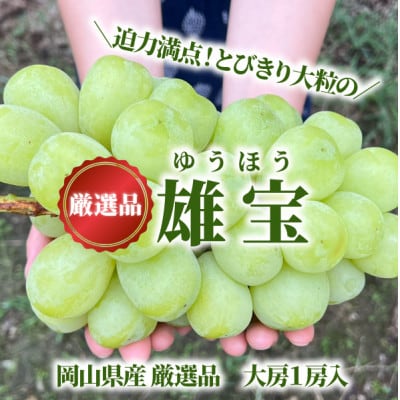 【きよとうファーム】厳選品 大粒葡萄の「雄宝(ゆうほう)」1房/700g～(岡山県産)