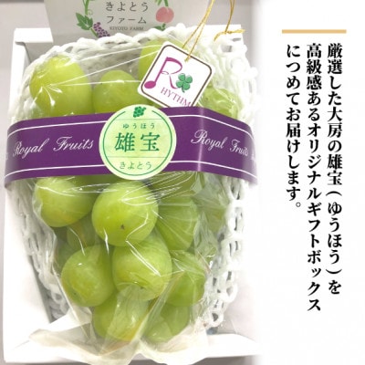 【きよとうファーム】厳選品 大粒葡萄の「雄宝(ゆうほう)」1房/700g～(岡山県産)
