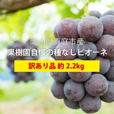【きよとうファーム】訳あり 種なしピオーネ 約2.2kg (岡山県産)
