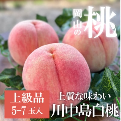 【きよとうファーム】上質な桃 川中島白桃 上級品 5-7玉入 (岡山県産)
