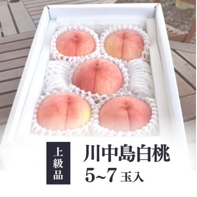 【きよとうファーム】上質な桃 川中島白桃 上級品 5-7玉入 (岡山県産)