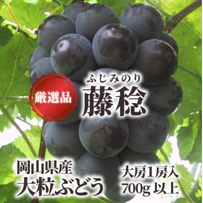 【きよとうファーム】大粒葡萄の藤稔 大サイズ1房 厳選品/1房700g以上 (岡山県産)