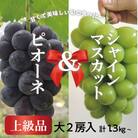 【きよとうファーム】ピオーネ&シャインマスカット 上級品 大2房 /計1.3kg~  (岡山県産)