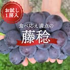 【きよとうファーム】大粒ぶどうの藤稔　お試し1房入  /600g以上 (岡山県産)