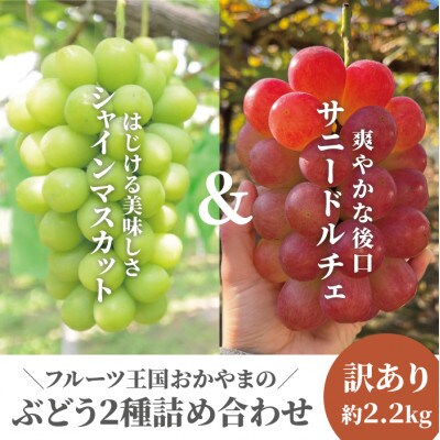 【きよとうファーム】訳あり品 シャインマスカット&サニードルチェ/約2.2kg～ (岡山県産)