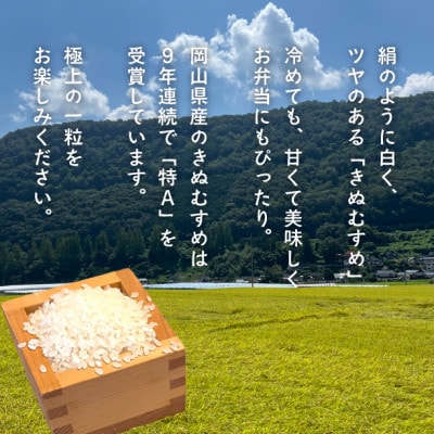 【令和7年産】きぬむすめ 岡山ほたる米 精米5kg (岡山県真庭産)新米 産地直送 《数量限定》