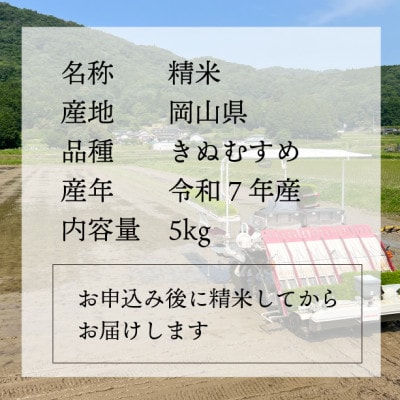 【令和7年産】きぬむすめ 岡山ほたる米 精米5kg (岡山県真庭産)新米 産地直送 《数量限定》
