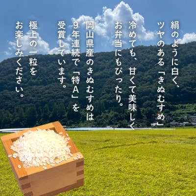 【令和7年産】きぬむすめ 岡山ほたる米 精米10kg (岡山県真庭産)新米 産地直送 《数量限定》
