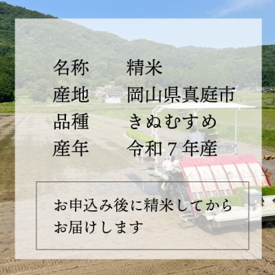 【令和7年産】きぬむすめ 岡山ほたる米 精米10kg (岡山県真庭産)新米 産地直送 《数量限定》