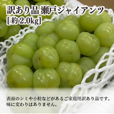 【きよとうファーム】瀬戸ジャイアンツ(丸ごとぱっくん) 訳あり品/約2kg (岡山県産)