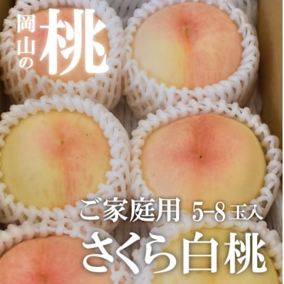 【2026年先行予約】しっかりめの肉質と甘さが絶品「さくら白桃」ご家庭用 5-8玉入(岡山県産)