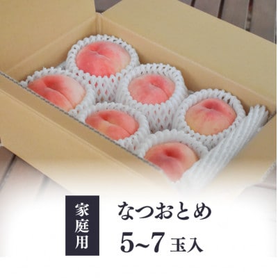 【2026年先行予約】乙女のような可愛い甘い桃 「なつおとめ」家庭用 5-7玉入(岡山県産)
