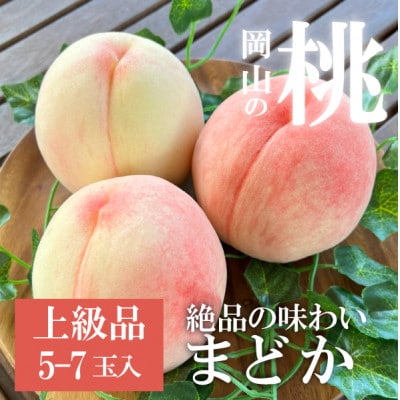 【2026年先行予約】上品な肉質 まどか 白桃 上級品 5-7玉入(岡山県産)