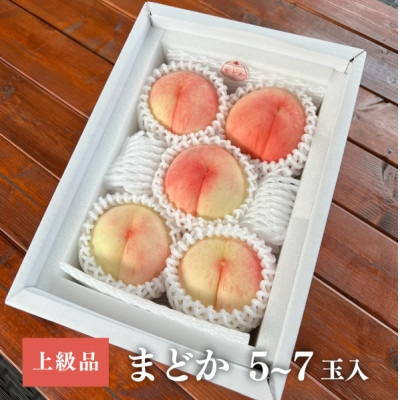【2026年先行予約】上品な肉質 まどか 白桃 上級品 5-7玉入(岡山県産)