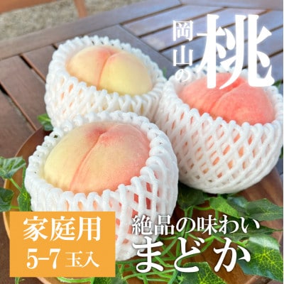 【2026年先行予約】上品な肉質 まどか 白桃 ご家庭用 5-7玉入(岡山県産)