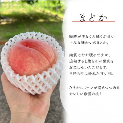 【2026年先行予約】上品な肉質 まどか 白桃 ご家庭用 5-7玉入(岡山県産)