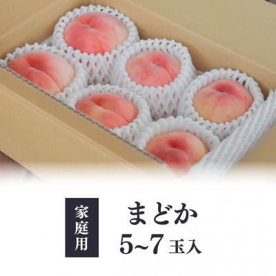 【2026年先行予約】上品な肉質 まどか 白桃 ご家庭用 5-7玉入(岡山県産)