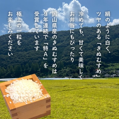 【2026年先行予約】令和8年産新米 岡山ほたる米 きぬむすめ精米10kg (岡山県真庭産)