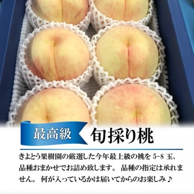 【2026年先行予約】【厳選品】旬の桃(品種おまかせ) 5-8玉(岡山県産)
