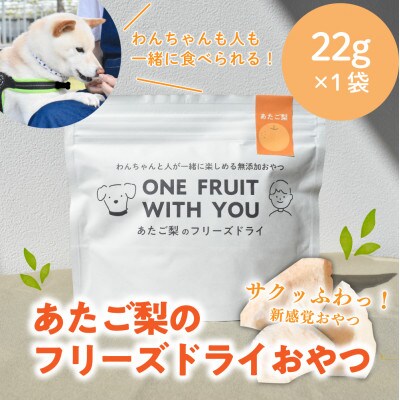 あたご梨のフリーズドライおやつ(22g×1袋) 原材料は「あたご梨」のみ、果物そのまま!(岡山県産)