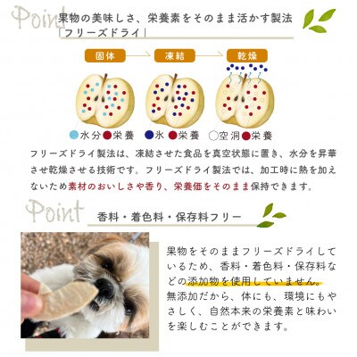あたご梨のフリーズドライおやつ(22g×1袋) 原材料は「あたご梨」のみ、果物そのまま!(岡山県産)