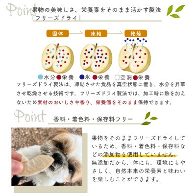 【お試しサイズ】あたご梨のフリーズドライおやつ(5g×2袋) 無添加おやつ(岡山県産)