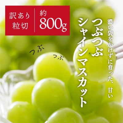 粒切りで食べやすい!甘～いシャインマスカット/約800g (岡山県産)
