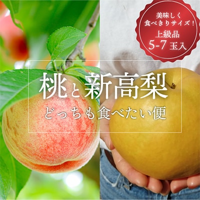【発送月固定定期便】上級品の2回便!桃と新高梨どっちも食べたい便(岡山県産)全2回