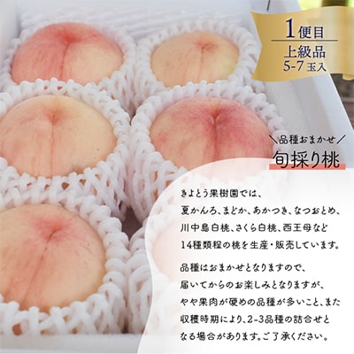 【発送月固定定期便】上級品の2回便!桃と新高梨どっちも食べたい便(岡山県産)全2回