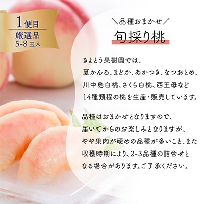 【発送月固定定期便】上級品の2回便!厳選した旬の桃とカラフル葡萄の詰め合せが旬に!(岡山県産)全2回