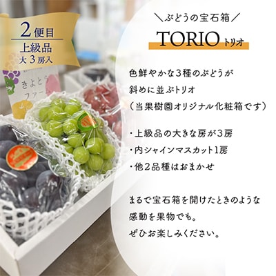 【発送月固定定期便】上級品の2回便!厳選した旬の桃とカラフル葡萄の詰め合せが旬に!(岡山県産)全2回