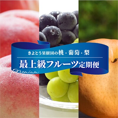 【発送月固定定期便】桃、ぶどう、梨の最上級品を旬にお届けする3回便!(岡山県産)全3回