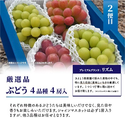 【発送月固定定期便】桃、ぶどう、梨の最上級品を旬にお届けする3回便!(岡山県産)全3回