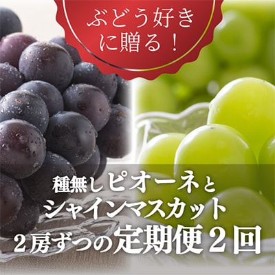 【発送月固定定期便】葡萄好きに贈る! ピオーネとシャインマスカットが2房ずつ届く!(岡山県産)全2回