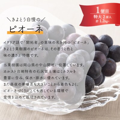 【発送月固定定期便】葡萄好きに贈る! ピオーネとシャインマスカットが2房ずつ届く!(岡山県産)全2回