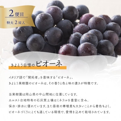 【発送月固定定期便】桃とピオーネと梨2-3種が届く満足3回便(ご家庭用)(岡山県産)全3回