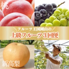 【発送月固定定期便】食べ尽くし!旬採り桃、ピオーネ&シャインマスカット、新高梨(岡山県産)全3回