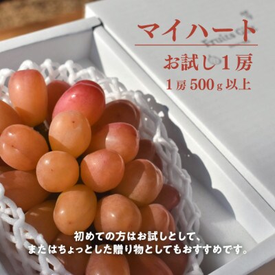 【発送月固定定期便】食べきりサイズ!岡山の桃とマイハートが少しずつ届く!【お試し便】(岡山産)全2回