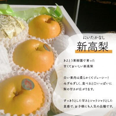 【発送月固定定期便】桃とシャインマスカットと新高梨の上質フルーツ定期便!(岡山県産)全3回