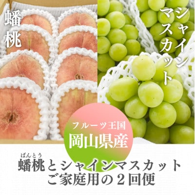 【発送月固定定期便】【きよとうファーム】蟠桃とシャインマスカットのご家庭用を岡山から産地直送全2回