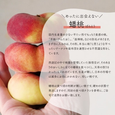 【発送月固定定期便】【きよとうファーム】蟠桃とシャインマスカットの上級品を岡山から産地直送全2回