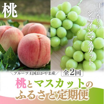 【発送月固定定期便】【きよとうファーム】桃とシャインマスカットが産地直送で届く!ご家庭用定期便全2回
