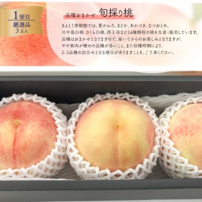 【発送月固定定期便】桃と葡萄の宝石箱「TORIO」上質なフルーツを楽しむ定期便(岡山県産)全2回