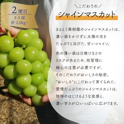 【発送月固定定期便】旬の味覚を楽しむ定期便!ピオーネ&シャインマスカット&梨(岡山県産)全3回