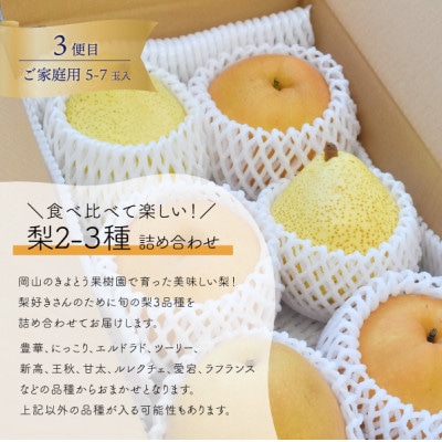 【発送月固定定期便】旬の味覚を楽しむ定期便!ピオーネ&シャインマスカット&梨(岡山県産)全3回