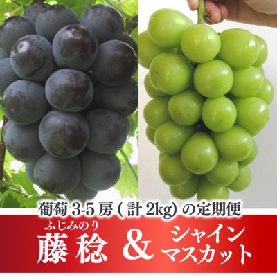 【発送月固定定期便】【きよとうファーム】藤稔とシャインマスカット各2kg入の定期便(岡山県産)全2回