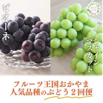 【発送月固定定期便】【きよとうファーム】ピオーネとシャインマスカット大2房の定期便(岡山県産)全2回