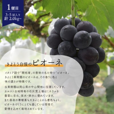 【発送月固定定期便】【きよとうファーム】ピオーネとシャインマスカットの2回便! (岡山県産)全2回